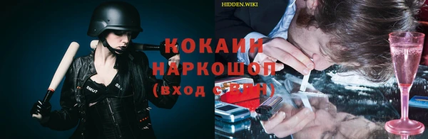 apvp Вяземский
