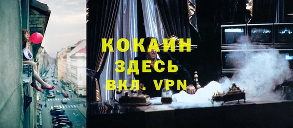 apvp Вяземский