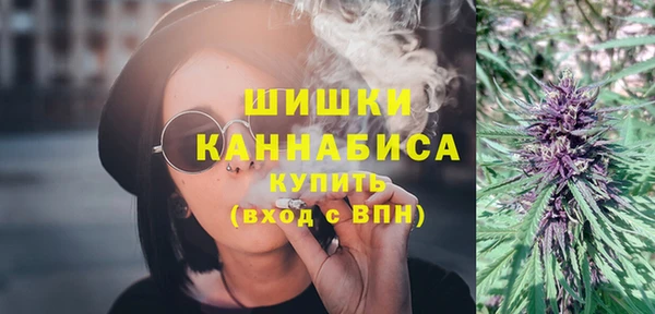 apvp Вяземский