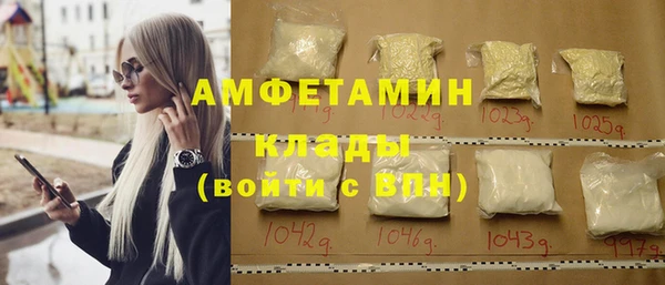 apvp Вяземский